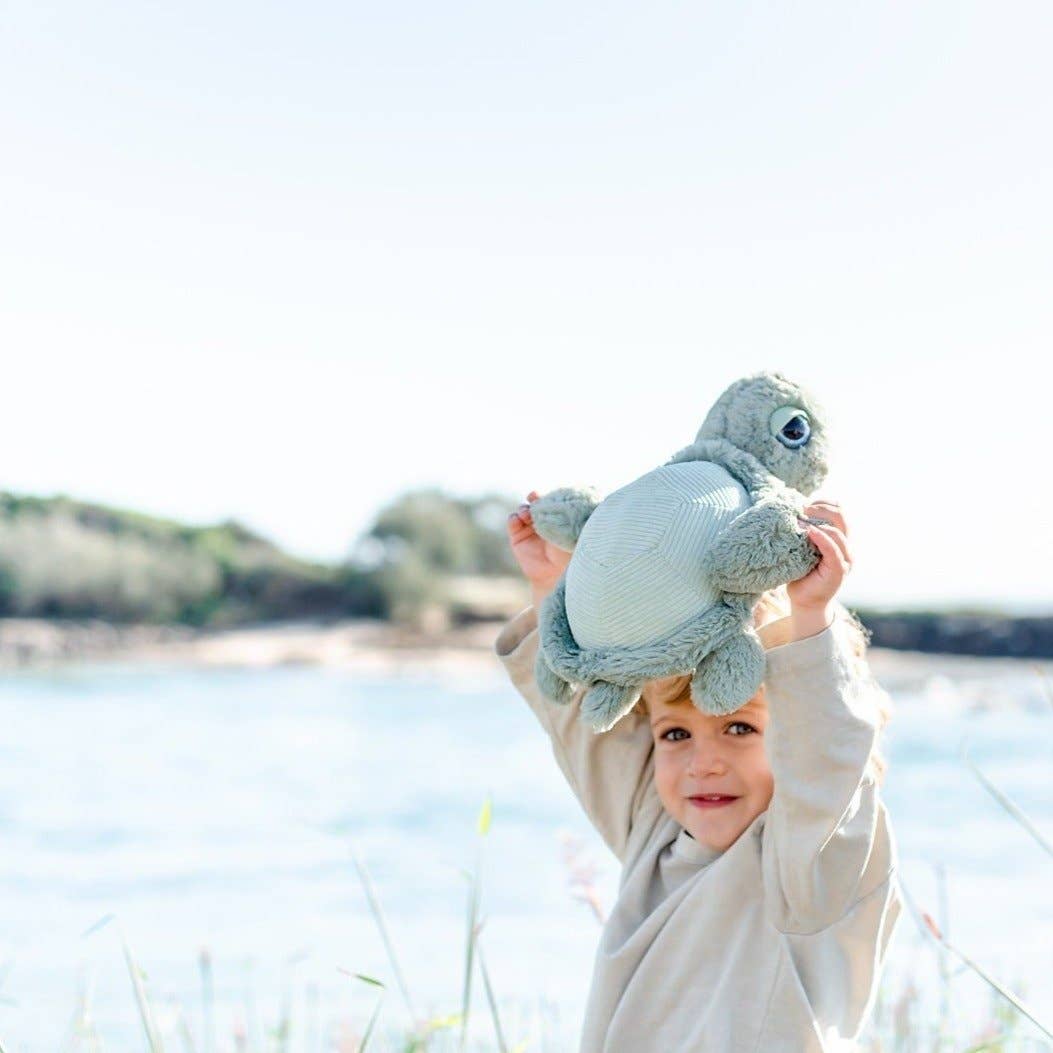 OB - Tyler Turtle Soft Toy