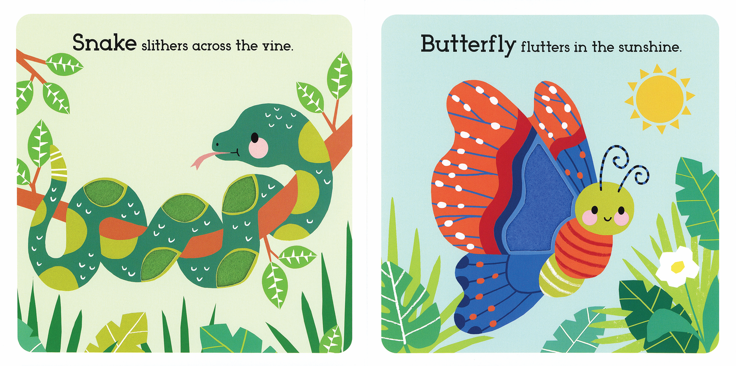 Read, Touch, Discover Remarkable Rainforest
