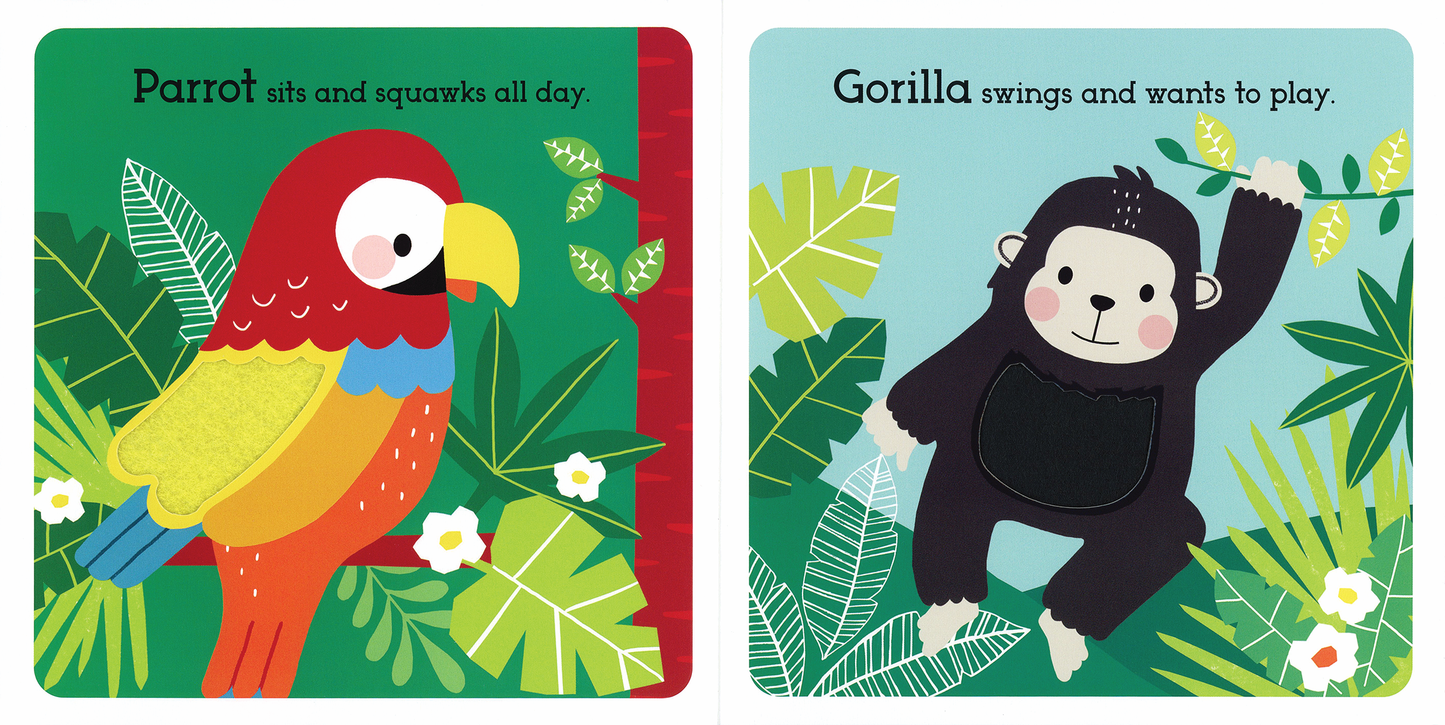 Read, Touch, Discover Remarkable Rainforest