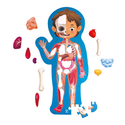 HAPE - Human Body Puzzle