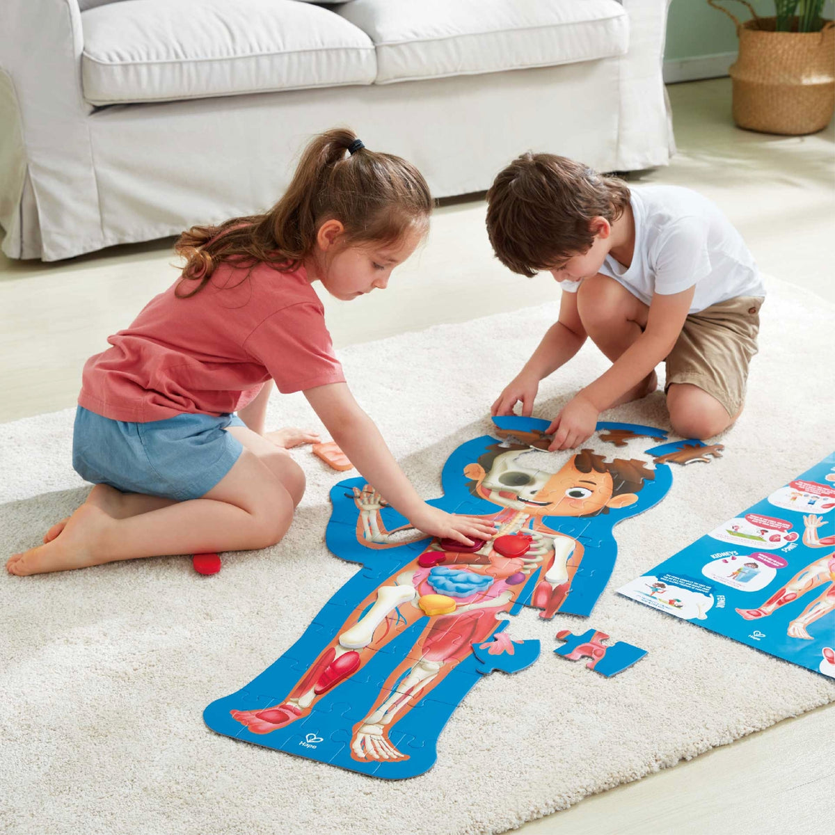 HAPE - Human Body Puzzle