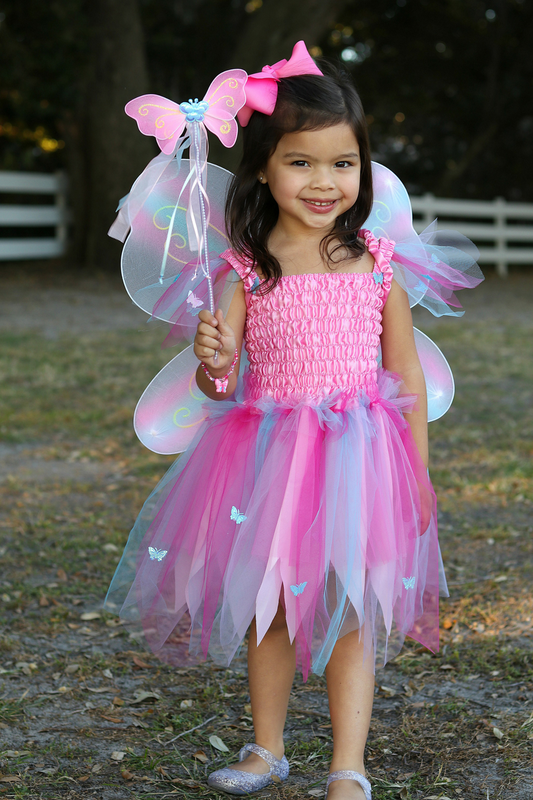 Butterfly Dress w/Wings & Wand, Pink/Multi 5-6Y
