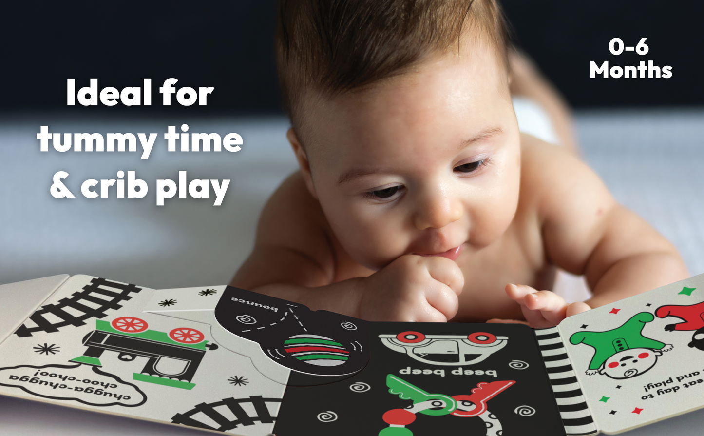 Look, Look, Baby! Playtime High Contrast Black & White Book