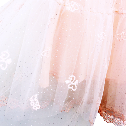 DOE A DEAR -  Floral Embroidery Mesh Dress