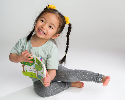 Babies Love Colors Lift-a-Flap Board Book