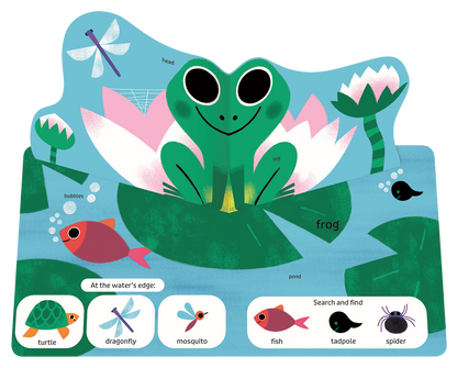 Pop Pop Pop: Bugs and Other Small Things