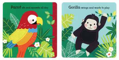 Read, Touch, Discover Remarkable Rainforest