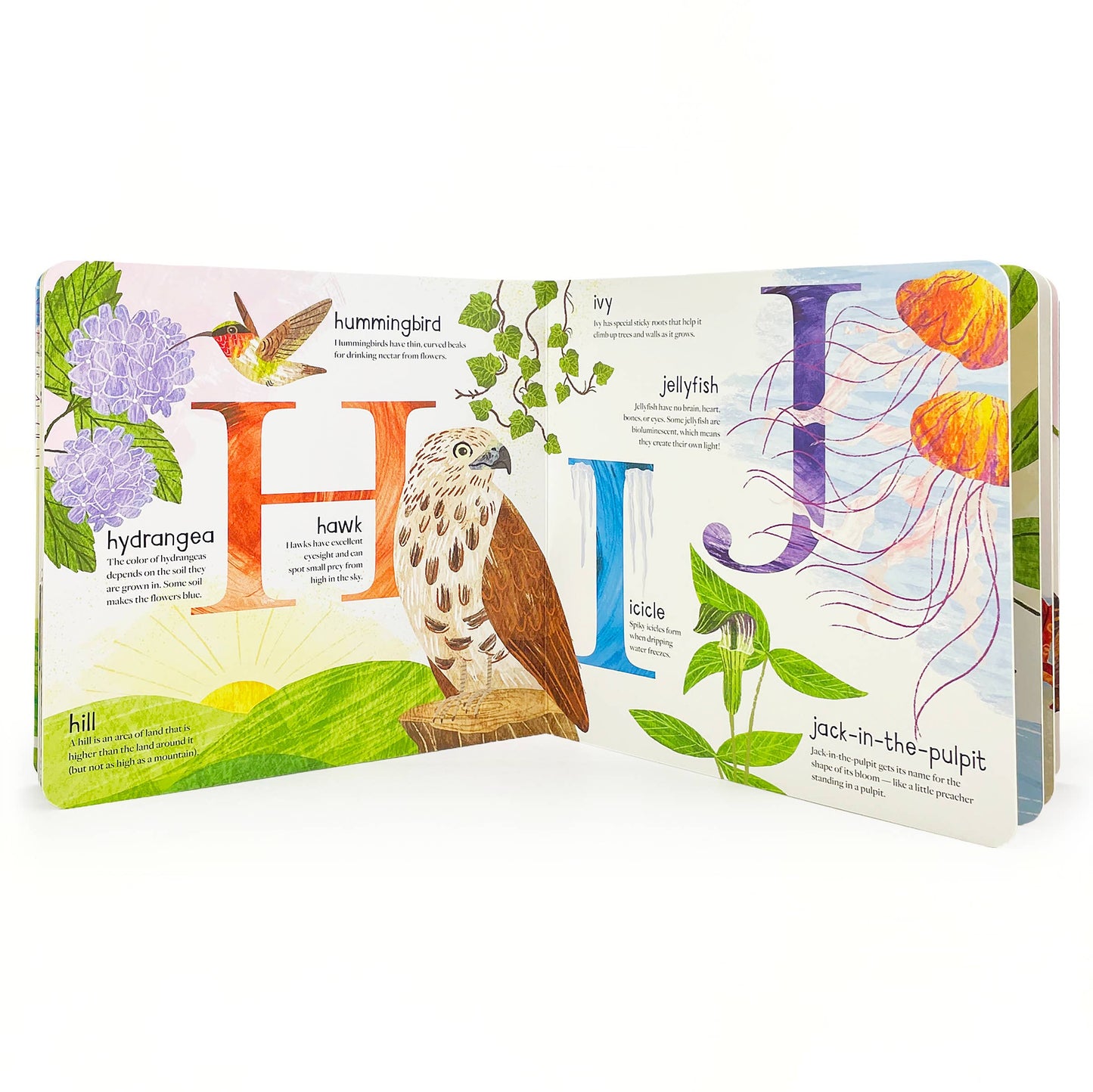 ABC of Nature: A Wild & Wonderful Alphabet