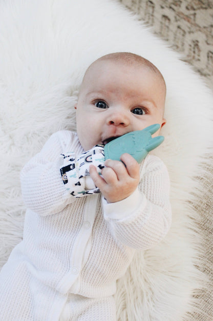 Itzy Mitt™ Silicone Teething Mitts