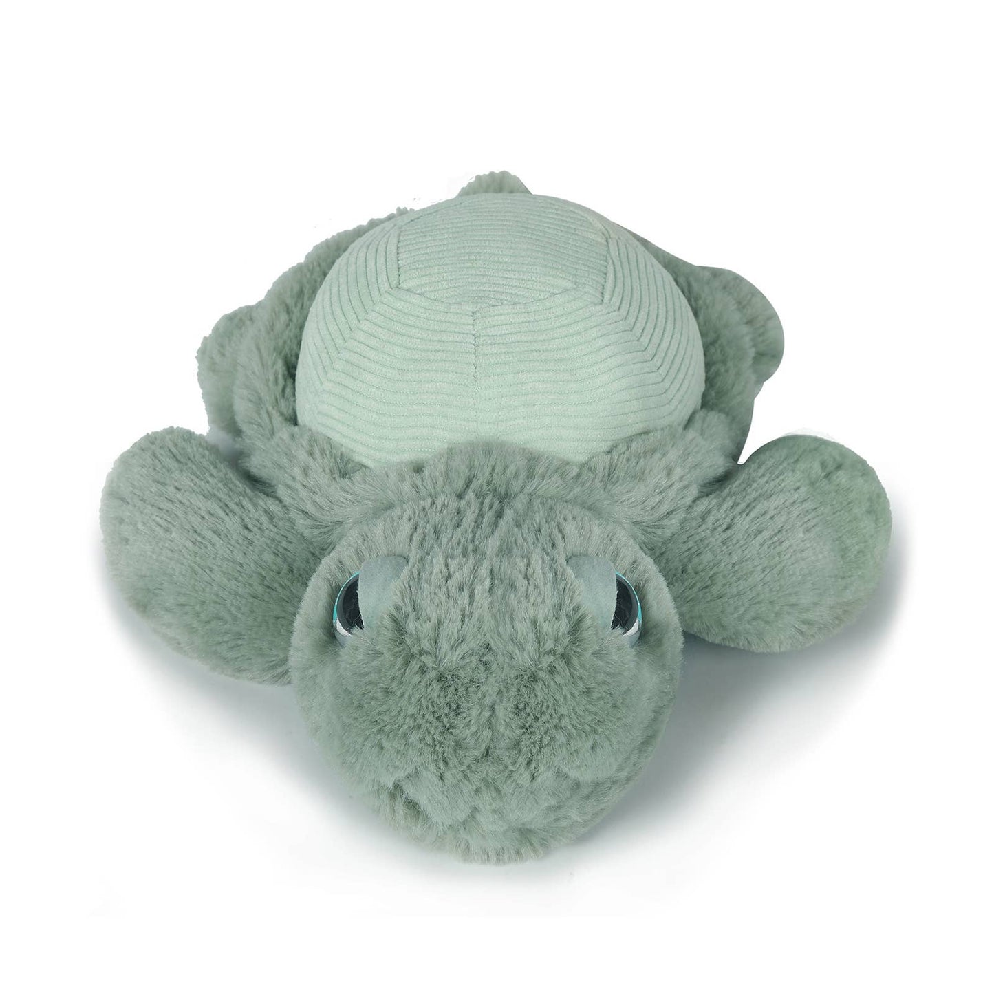 Little Tyler Turtle Soft Toy