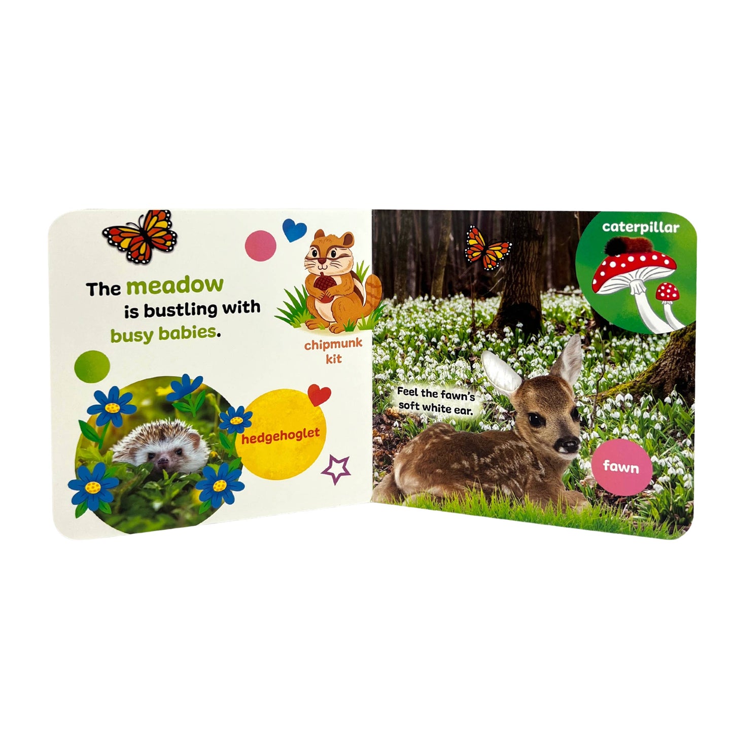 Touch & Feel Forest Babies Interactive Book with Textures