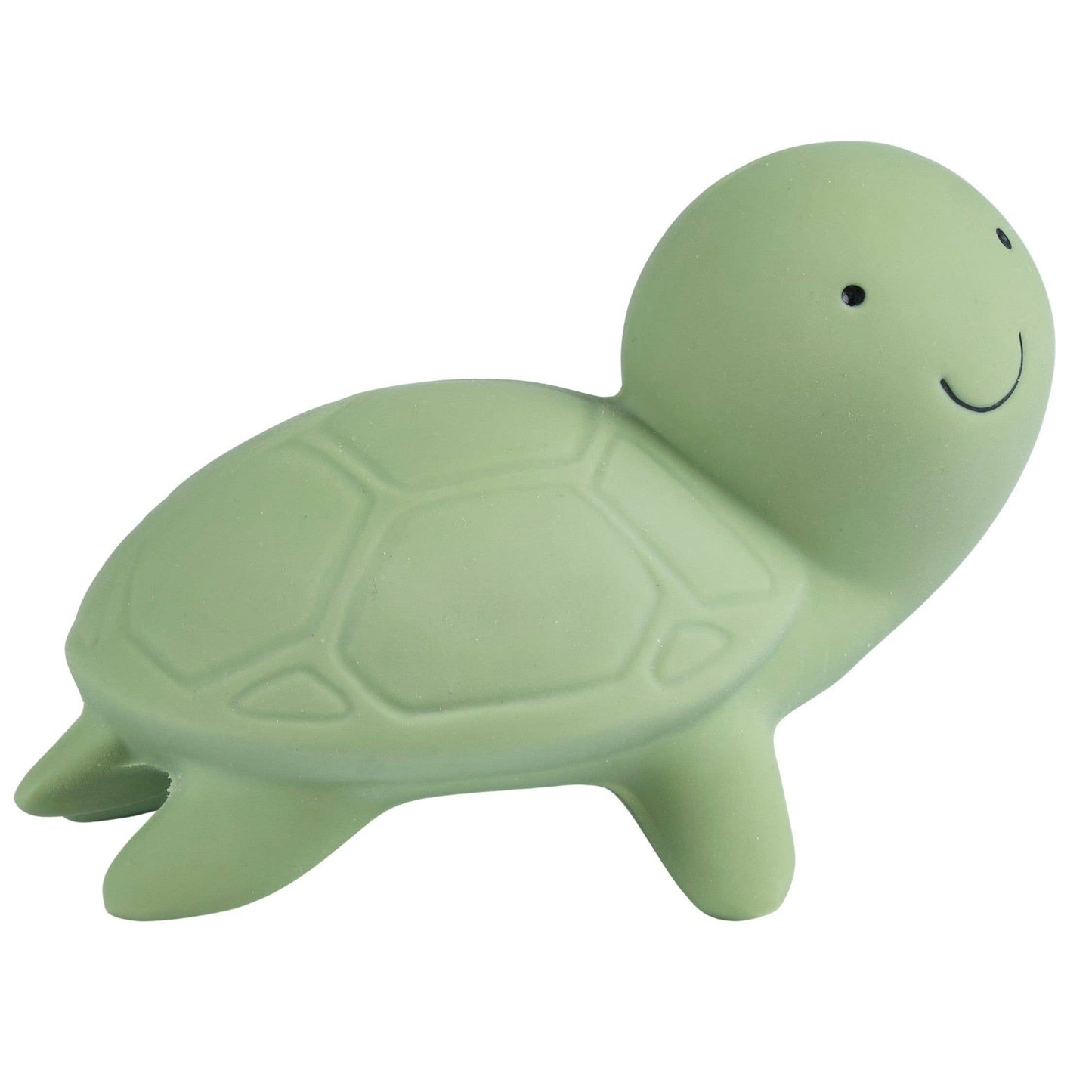 Turtle Natural Organic Rubber Teether, Rattle & Bath Toy