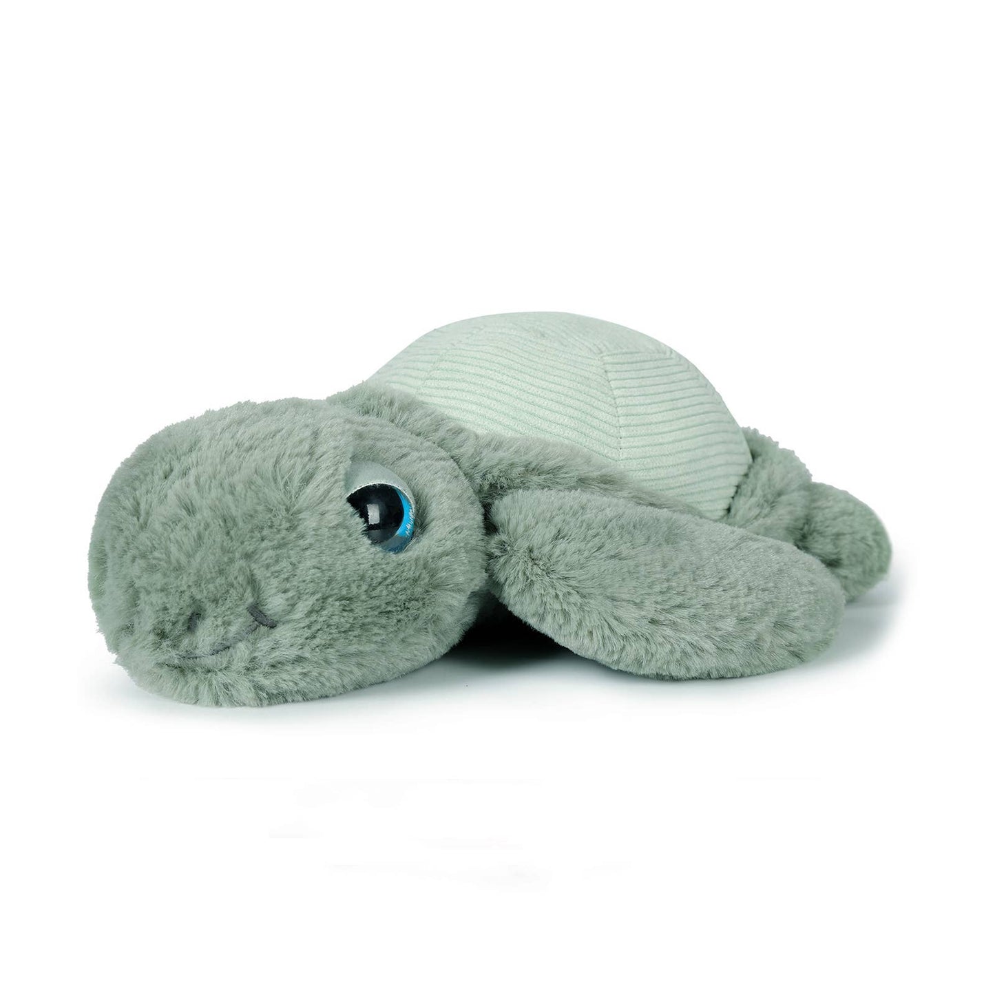 Little Tyler Turtle Soft Toy