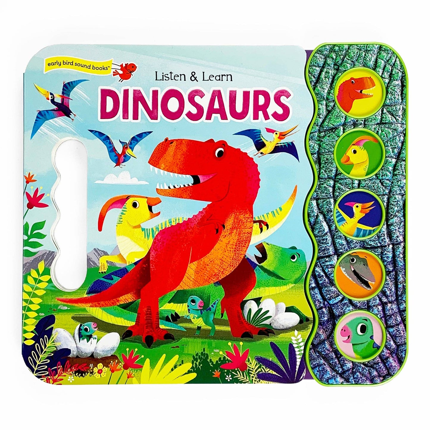 Dinosaurs Book